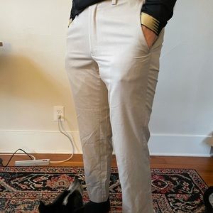 Louis Raphael Polyester Pants. Men’s 30x30
